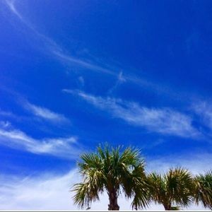 Meet your Posher, Savanah